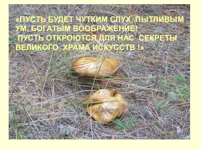 ТЕМА УРОКА: «Сложносочинённое предложение» «ПУСТЬ БУДЕТ ЧУТКИМ СЛУХ, ПЫТЛИВЫМ УМ, БОГАТЫМ ВООБРАЖЕНИЕ!