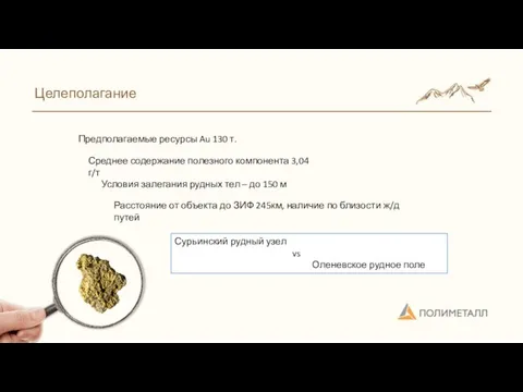 Целеполагание Предполагаемые ресурсы Au 130 т. Среднее содержание полезного компонента 3,04 г/т