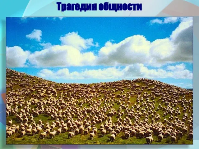 Трагедия общности