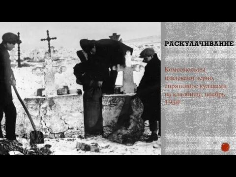 РАСКУЛАЧИВАНИЕ Комсомольцы извлекают зерно, спрятанное кулаками на кладбище, ноябрь 1930