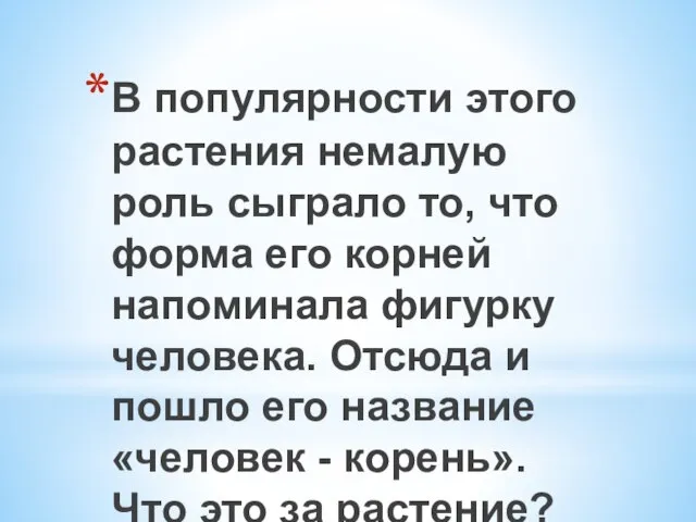 В популярности этого растения немалую роль сыграло то, что форма его корней