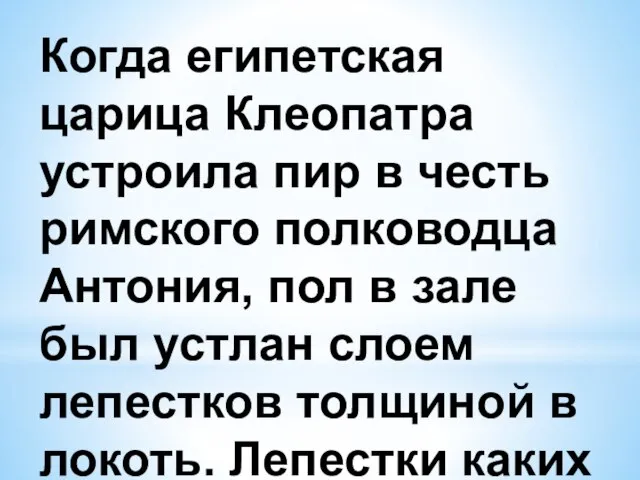 Когда египетская царица Клеопатра устроила пир в честь римского полководца Антония, пол