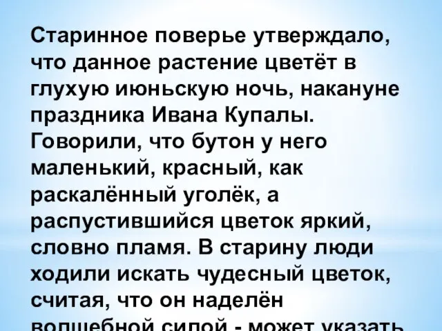 Старинное поверье утверждало, что данное растение цветёт в глухую июньскую ночь, накануне