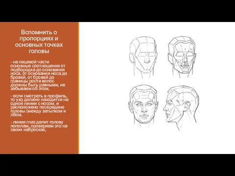 Вспомнить о пропорциях и основных точках головы - на лицевой части основные