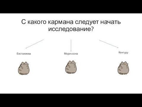 С какого кармана следует начать исследование? Мориссона Евстахиева Кенгуру