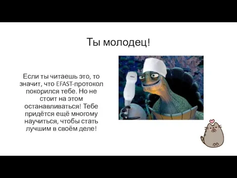 Ты молодец! Если ты читаешь это, то значит, что EFAST-протокол покорился тебе.