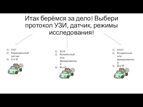 Итак берёмся за дело! Выбери протокол УЗИ, датчик, режимы исследования! FAST Карандашный