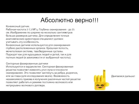 Абсолютно верно!!! Двигаемся дальше! Конвиксный датчик. Рабочая частота 2-7,5 МГц. Глубина сканирования