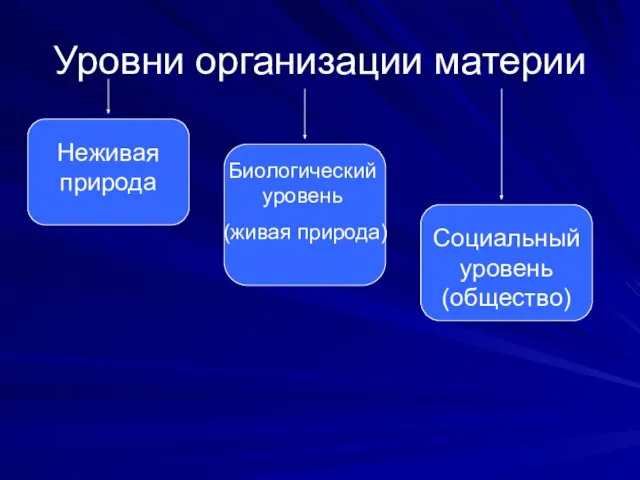 Уровни организации материи Неживая природа Биологический уровень (живая природа) Социальный уровень (общество)