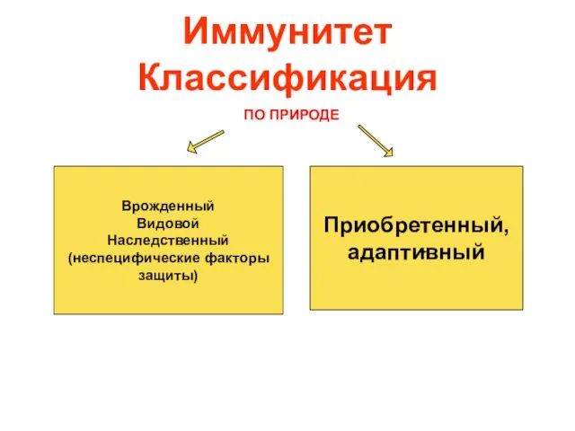 Иммунитет Классификация Врожденный Видовой Наследственный (неспецифические факторы защиты) Приобретенный, адаптивный ПО ПРИРОДЕ