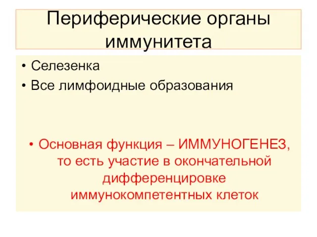 Периферические органы иммунитета Селезенка Все лимфоидные образования Основная функция – ИММУНОГЕНЕЗ, то