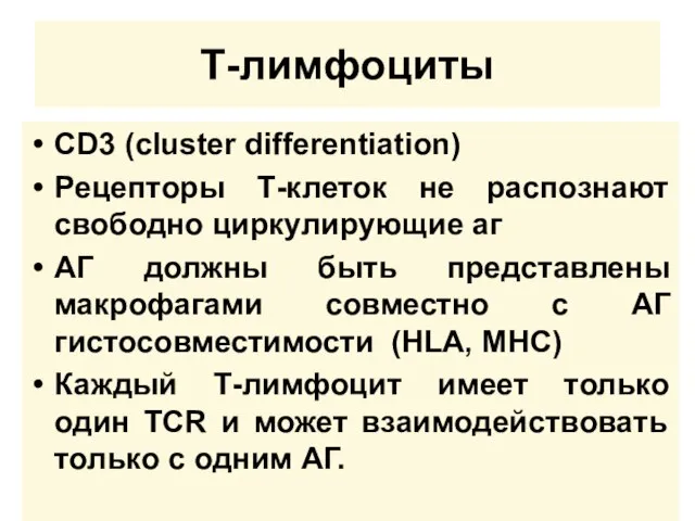 Т-лимфоциты СD3 (cluster differentiation) Рецепторы Т-клеток не распознают свободно циркулирующие аг АГ