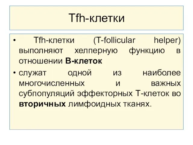 Tfh-клетки Tfh-клетки (T-follicular helper) выполняют хелперную функцию в отношении В-клеток служат одной