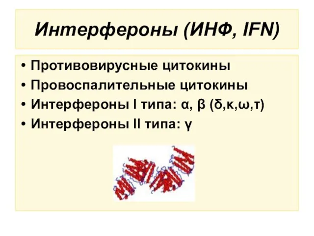 Интерфероны (ИНФ, IFN) Противовирусные цитокины Провоспалительные цитокины Интерфероны I типа: α, β