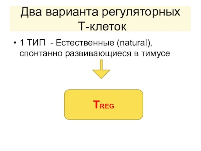 Два варианта регуляторных Т-клеток 1 ТИП - Естественные (natural), спонтанно развивающиеся в тимусе ТREG