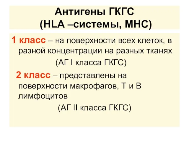 Антигены ГКГС (HLA –системы, MHC) 1 класс – на поверхности всех клеток,