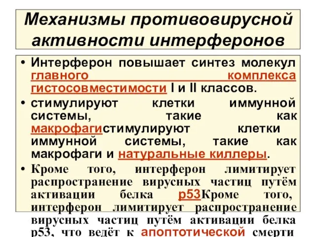 Механизмы противовирусной активности интерферонов Интерферон повышает синтез молекул главного комплекса гистосовместимости I