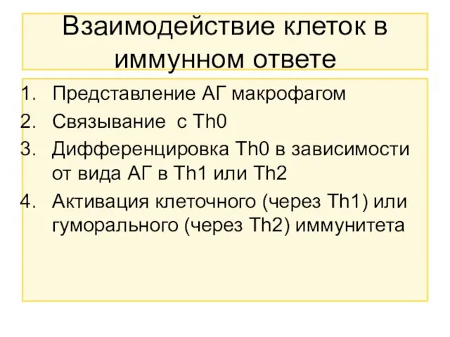 Взаимодействие клеток в иммунном ответе Представление АГ макрофагом Связывание с Th0 Дифференцировка