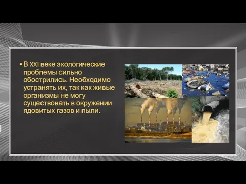 В XXI веке экологические проблемы сильно обострились. Необходимо устранять их, так как