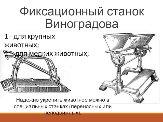 Фиксационный станок Виноградова 1 - для крупных животных; 2 – для мелких