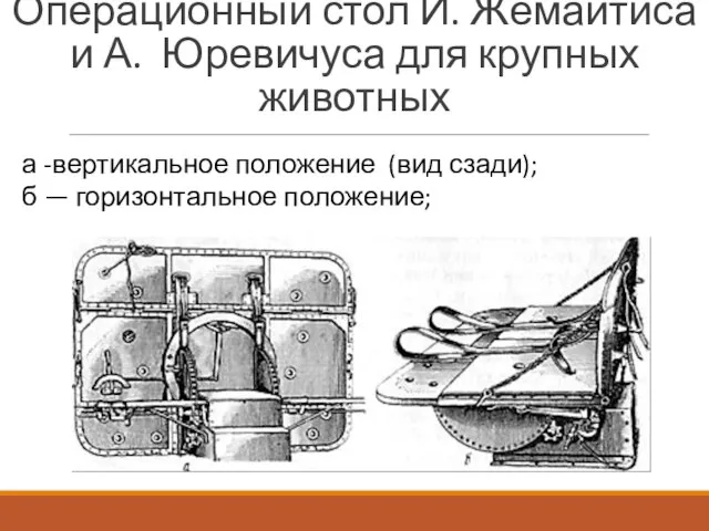 Операционный стол И. Жемайтиса и А. Юревичуса для крупных животных а -вертикальное