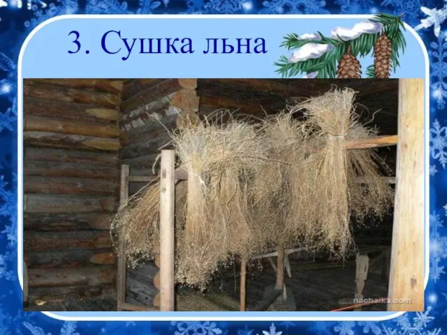 3. Сушка льна