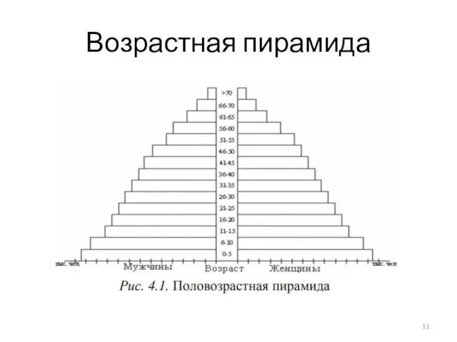 Возрастная пирамида