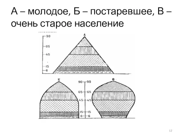 А – молодое, Б – постаревшее, В – очень старое население