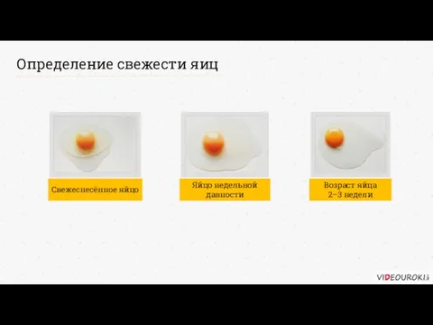 Определение свежести яиц Свежеснесённое яйцо Яйцо недельной давности Возраст яйца 2–3 недели