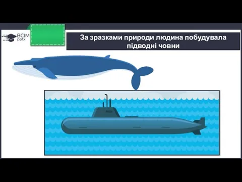 За зразками природи людина побудувала підводні човни