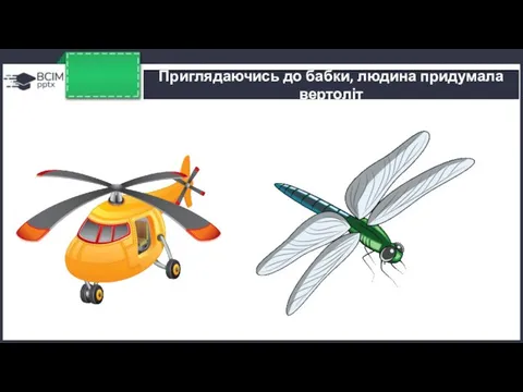 Приглядаючись до бабки, людина придумала вертоліт