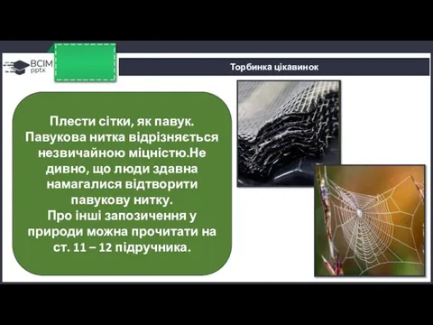 Торбинка цікавинок Плести сітки, як павук. Павукова нитка відрізняється незвичайною міцністю.Не дивно,