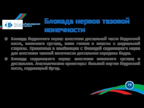 Блокада бедренного нерва: анестезия дистальной части бедренной кости, коленного сустава, кожи голени