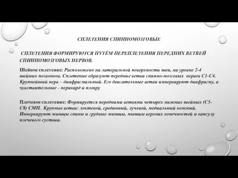 СПЛЕТЕНИЯ СПИННОМОЗГОВЫЕ СПЛЕТЕНИЯ ФОРМИРУЮТСЯ ПУТЁМ ПЕРЕПЛЕТЕНИЯ ПЕРЕДНИХ ВЕТВЕЙ СПИННОМОЗГОВЫХ НЕРВОВ. Шейное сплетение: