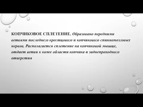 КОПЧИКОВОЕ СПЛЕТЕНИЕ. Образовано передними ветвями последнего крестцового и копчикового спинномозговых нервов. Располагается