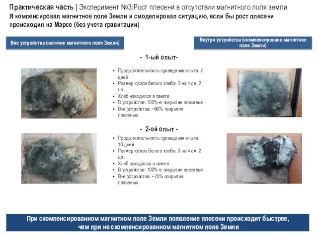 Практическая часть | Эксперимент №3:Рост плесени в отсутствии магнитного поля земли Я