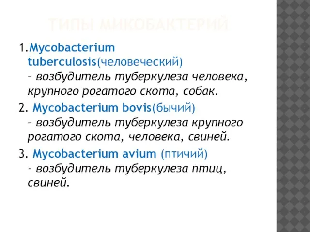 ТИПЫ МИКОБАКТЕРИЙ 1.Mycobacterium tuberculosis(человеческий) – возбудитель туберкулеза человека, крупного рогатого скота, собак.