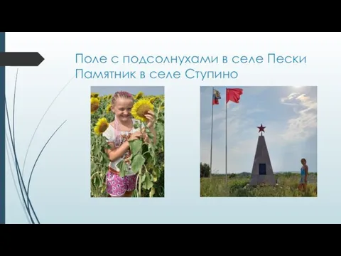 Поле с подсолнухами в селе Пески Памятник в селе Ступино