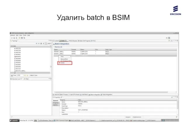 Удалить batch в BSIM