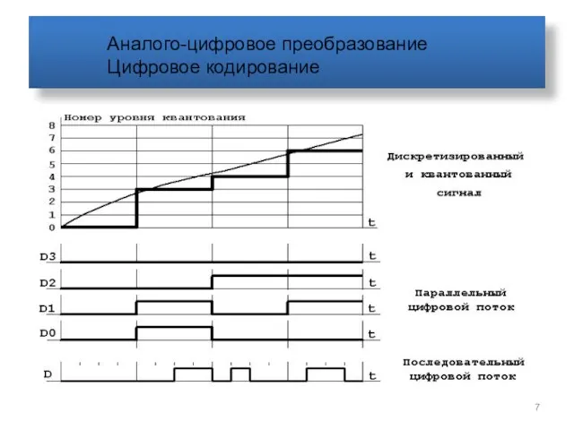 Аналого-цифровое преобразование Цифровое кодирование