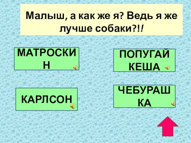 Малыш, а как же я? Ведь я же лучше собаки?!! МАТРОСКИН ПОПУГАЙ КЕША КАРЛСОН ЧЕБУРАШКА