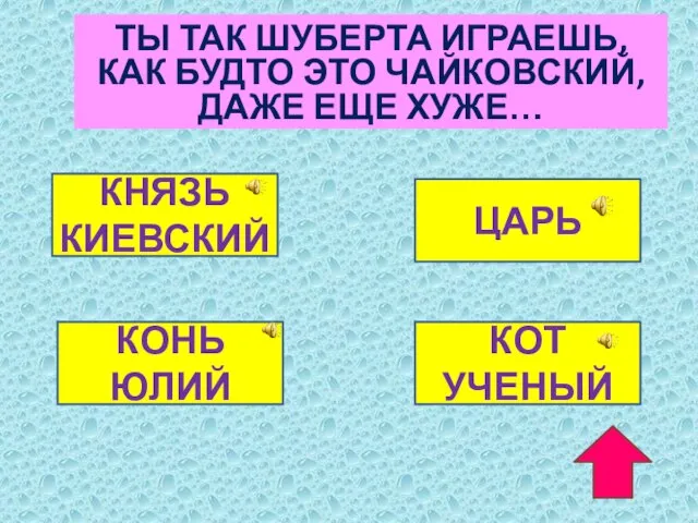 ТЫ ТАК ШУБЕРТА ИГРАЕШЬ, КАК БУДТО ЭТО ЧАЙКОВСКИЙ, ДАЖЕ ЕЩЕ ХУЖЕ… КНЯЗЬ