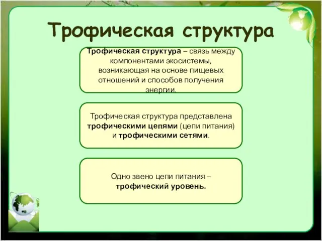 Трофическая структура Трофическая структура – связь между компонентами экосистемы, возникающая на основе