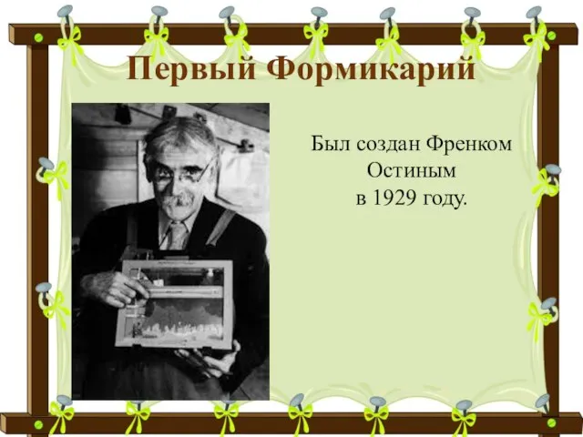 Первый Формикарий Был создан Френком Остиным в 1929 году.