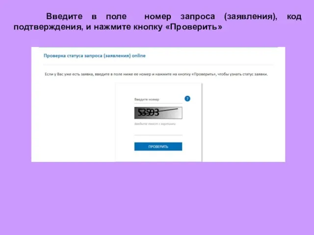 Введите в поле номер запроса (заявления), код подтверждения, и нажмите кнопку «Проверить»