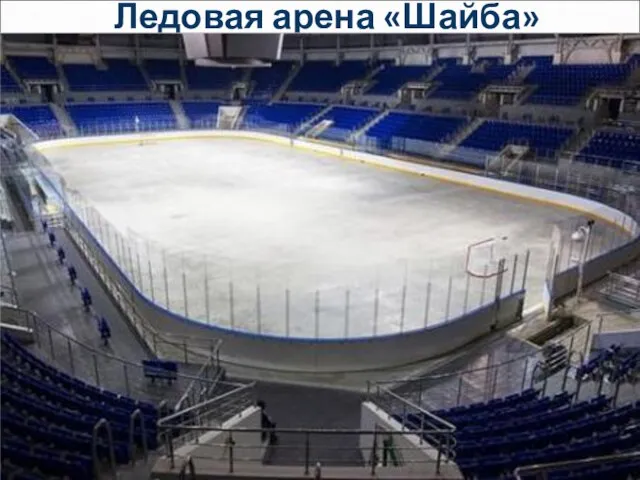 Ледовая арена «Шайба»