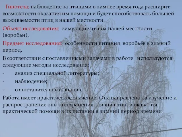 Гипотеза: наблюдение за птицами в зимнее время года расширит возможности оказания им