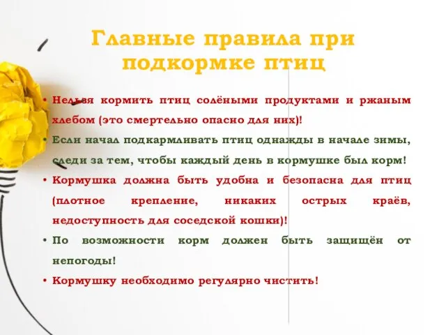 Главные правила при подкормке птиц Нельзя кормить птиц солёными продуктами и ржаным