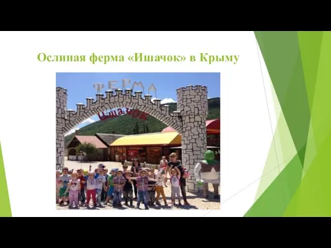 Ослиная ферма «Ишачок» в Крыму