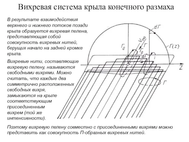 Вихревая система крыла конечного размаха В результате взаимодействия верхнего и нижнего потоков